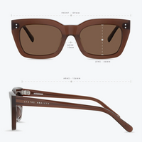 Status Anxiety Antagonist Sunglasses - Brown