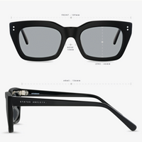 Status Anxiety Antagonist Sunglasses - Black