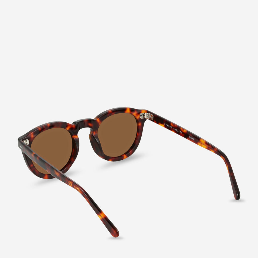 Status Anxiety Detached Sunglasses - Brown Tort