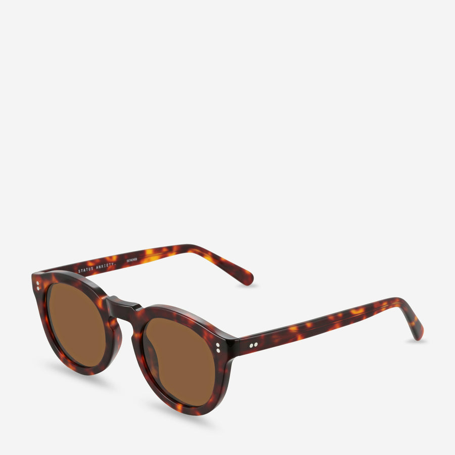 Status Anxiety Detached Sunglasses - Brown Tort