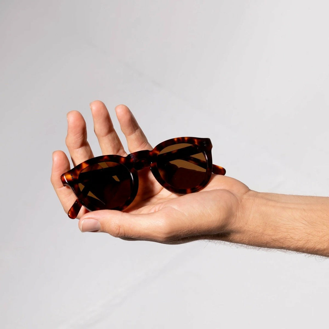 Status Anxiety Detached Sunglasses - Brown Tort